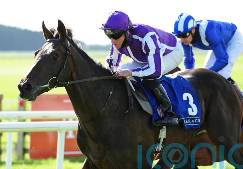 High Definition poised for St Stephen's Day hurdles bow at Leopardstown