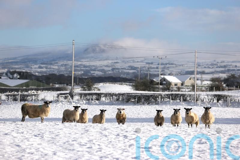 Icy conditions expected to continue over coming days