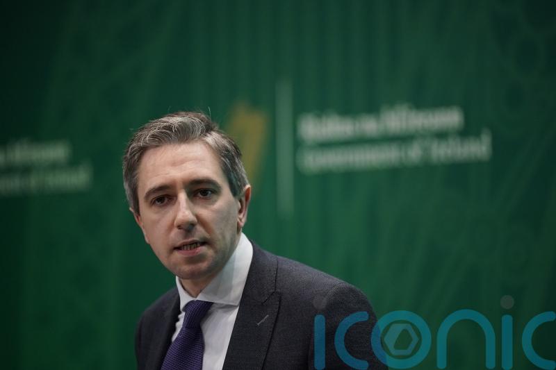 Irish Government will not forget duty to Troubles victims – Justice Minister