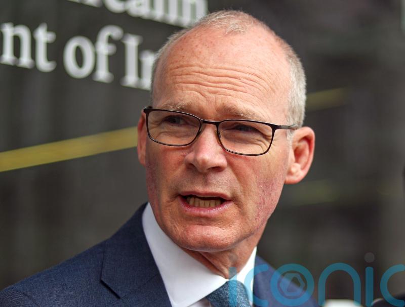 Tara Mines CEO says company was facing ‘tremendous unsustainable losses’