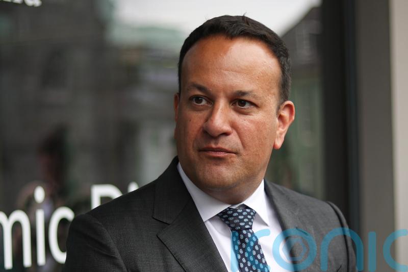 ‘Bespoke energy scheme’ could be introduced to help Tara Mines, says Varadkar