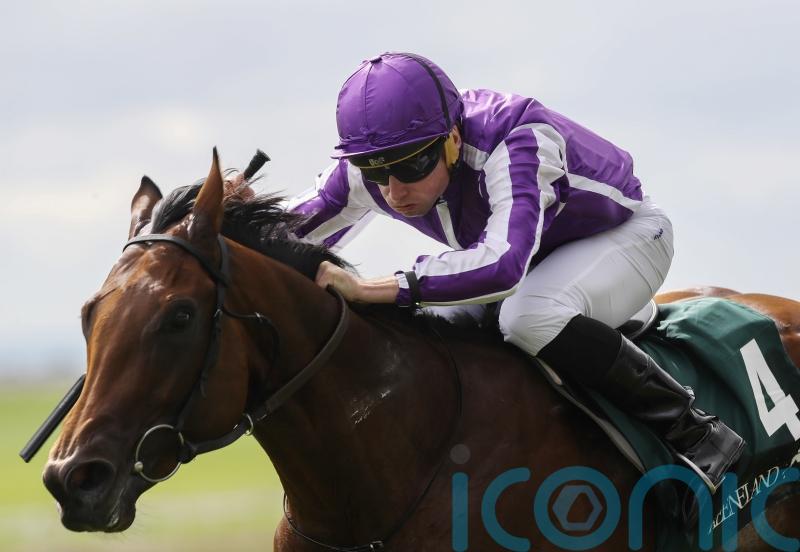 'Super horse‘ - Little Big Bear retired from racing