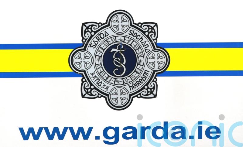 Man arrested over discovery of 14 people in a shipping container at Irish port