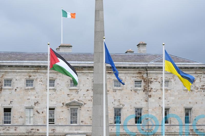 Ireland’s recognition of Palestine could be ‘catalyst’ for other EU countries