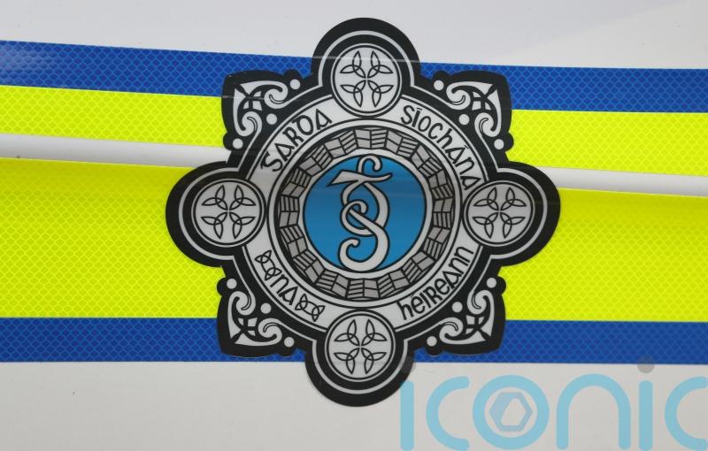 Community ‘horrified’ after woman killed in dog attack in Co Limerick
