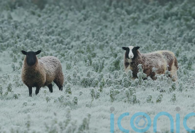 Temperatures set to drop to minus three overnight