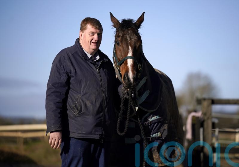 Shark Hanlon looking for 'a bit of luck' as €850 horse Hewick eyes Grand National glory