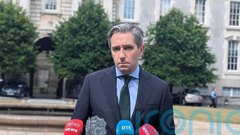 Tanaiste to meet with Ireland India Council over ‘spate of horrific attacks’