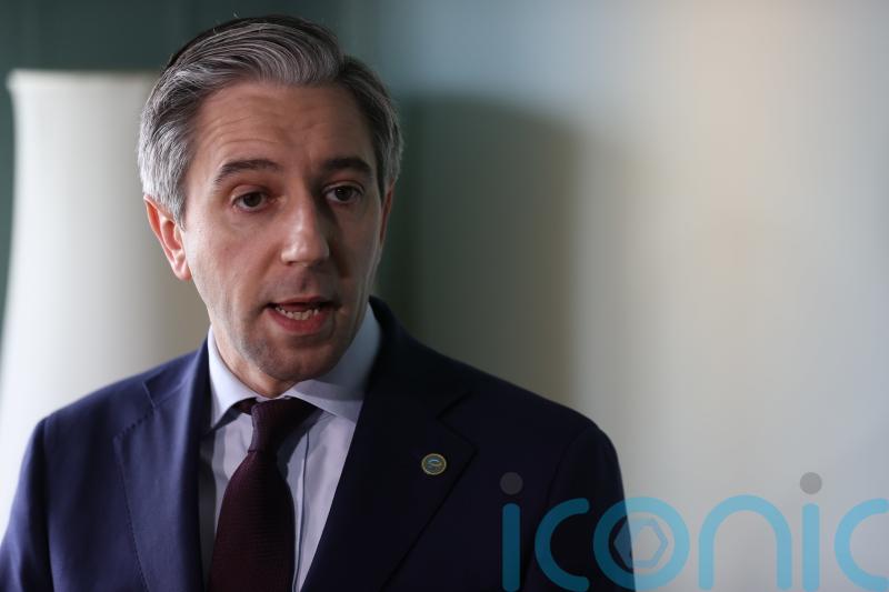 Indian representatives in Ireland want taskforce to address &lsquo;spate of attacks&rsquo;