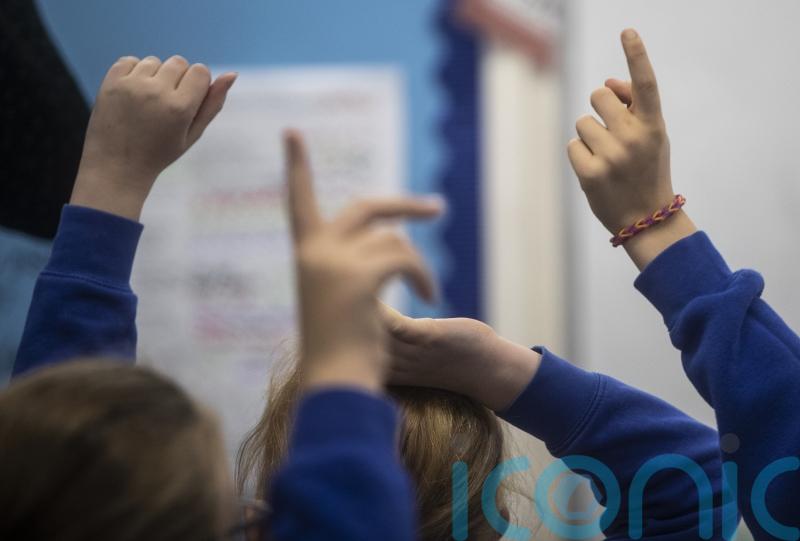 ‘One in four parents view education system as inclusive for autistic pupils’