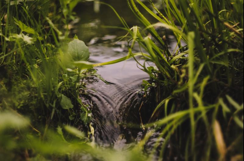 No one knows where the stream comes from but Tipperary people cleaned it up anyway