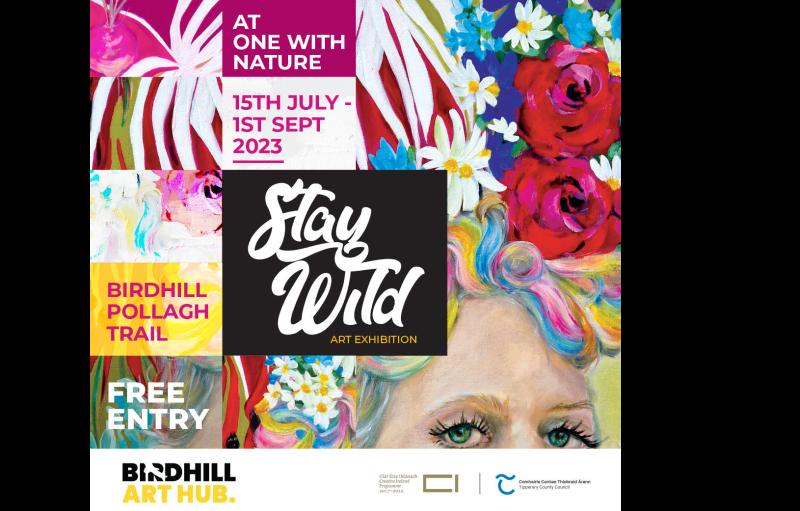 Tipperary outdoor art trail to open on July 15