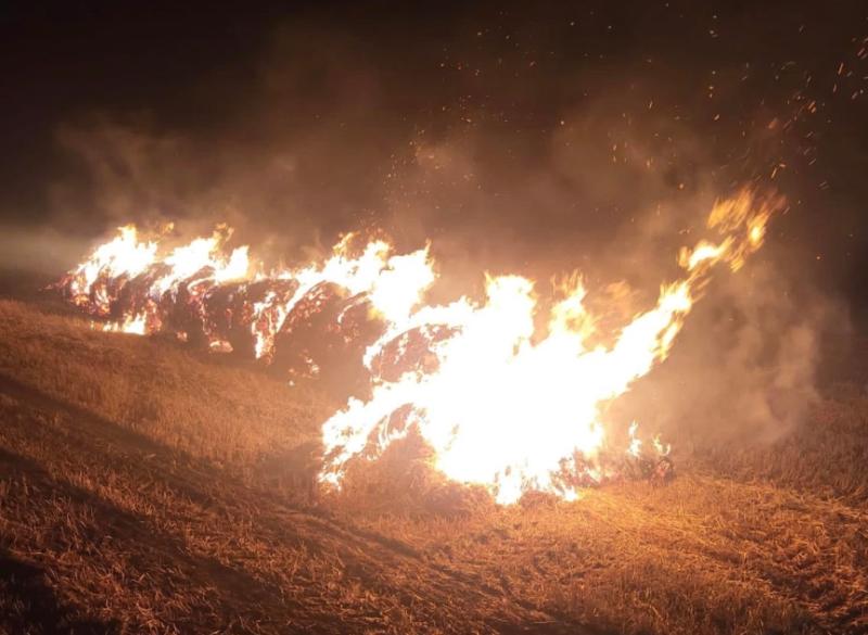 Tipperary garda and farmer appeal for arson attack that destroyed 
