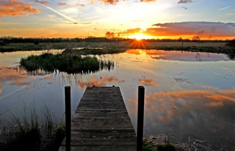 Over €20,000 allocated to protecting and improving local Tipperary wildlife hub