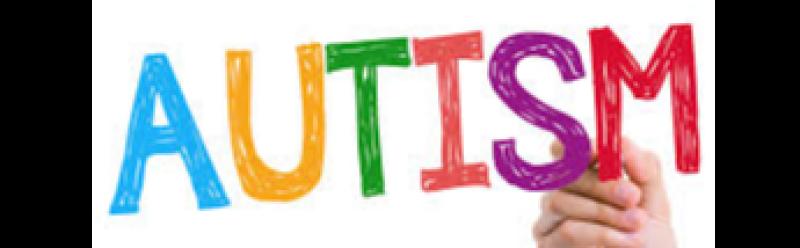 Tipperary TD calls for reinstatement of original autism  summer camp programme
