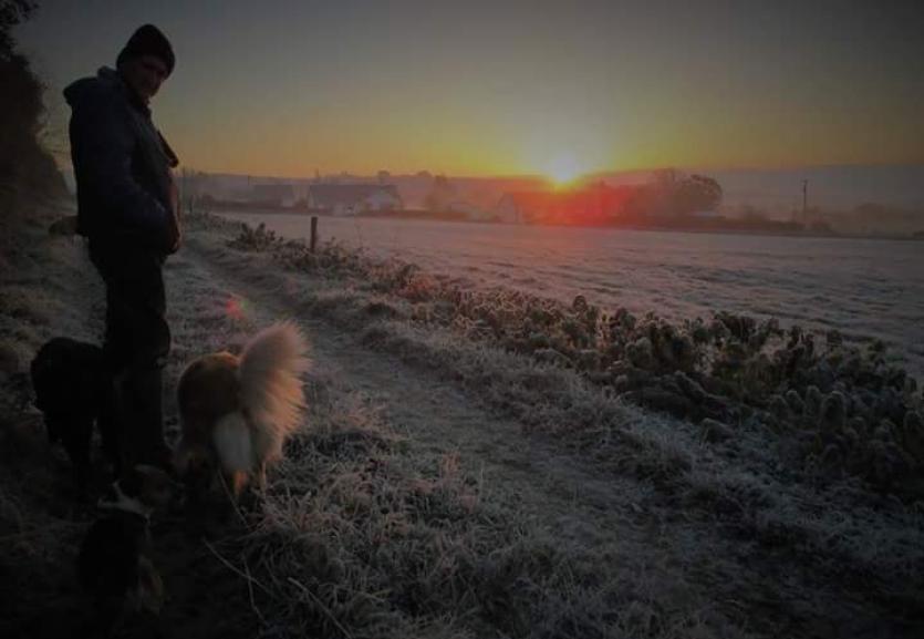 One man and his dog