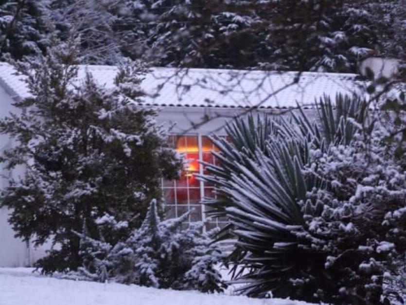 A warm light through the frost