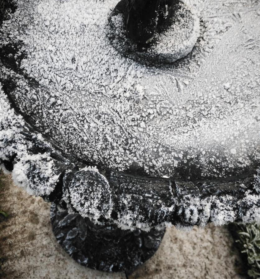 A frosty scene