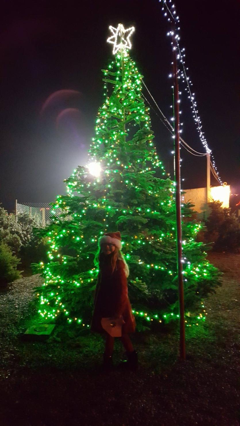Oh Chrsitmas Tree!