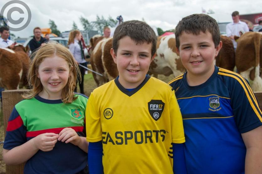 Dualla Show 2017