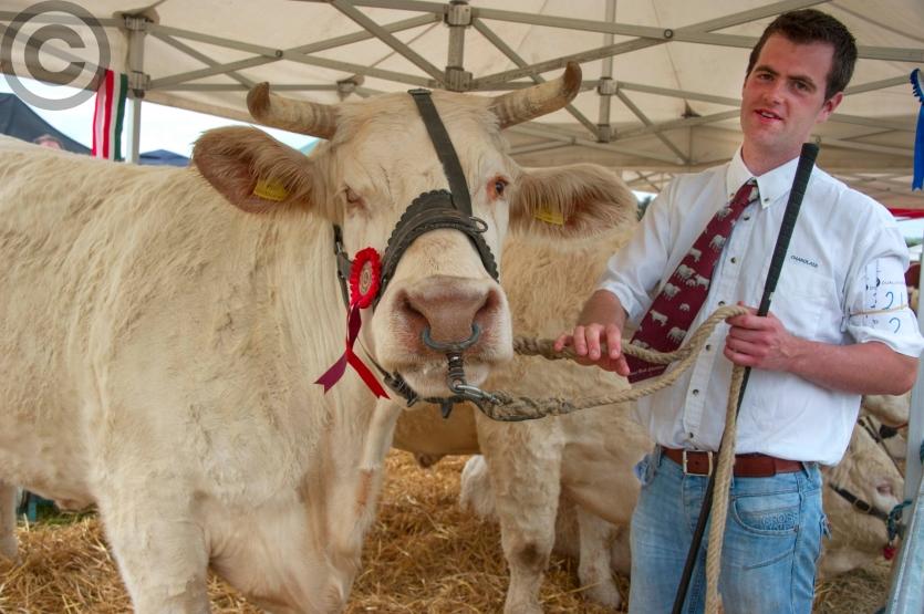 Dualla Show 2017