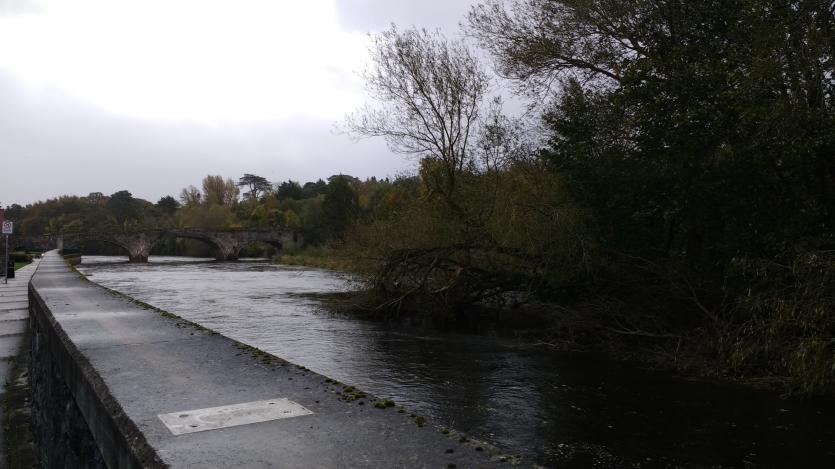 Storm Ophelia Damage
