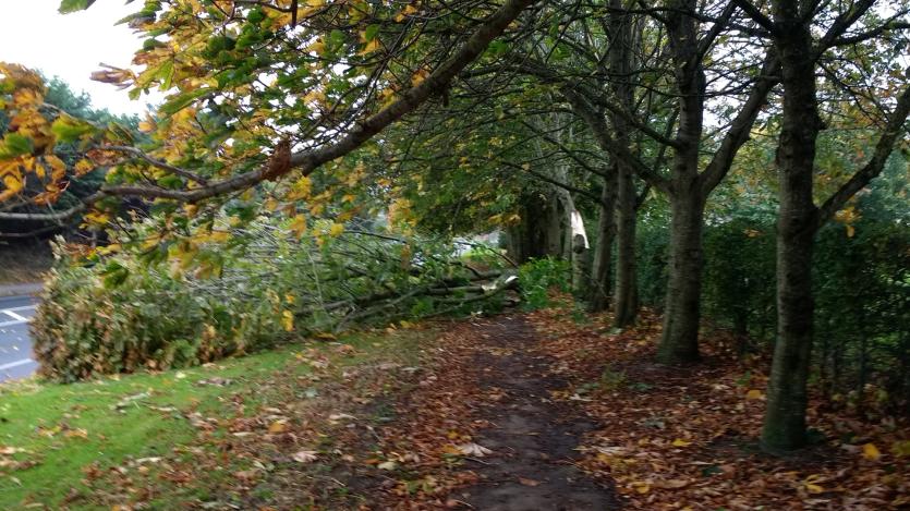 Storm Ophelia Damage
