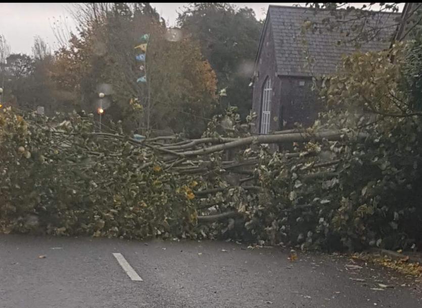 Storm Ophelia Damage