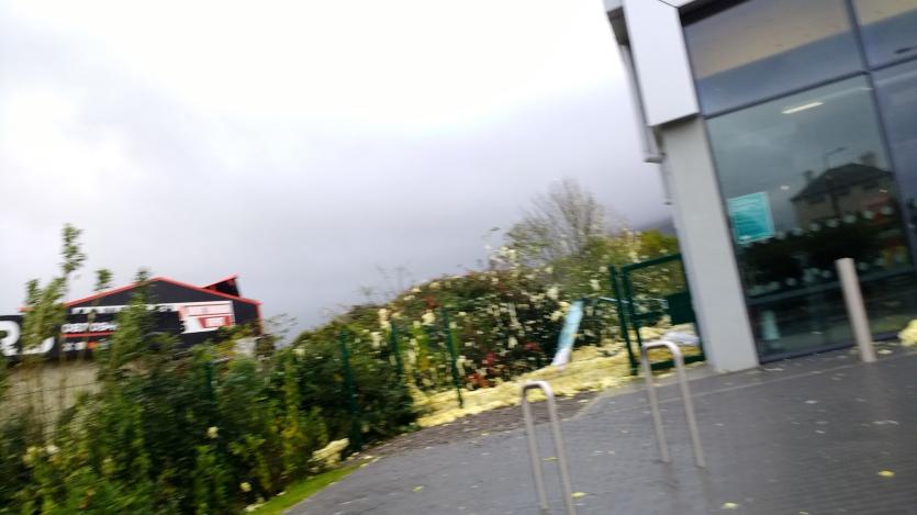 Storm Ophelia Damage