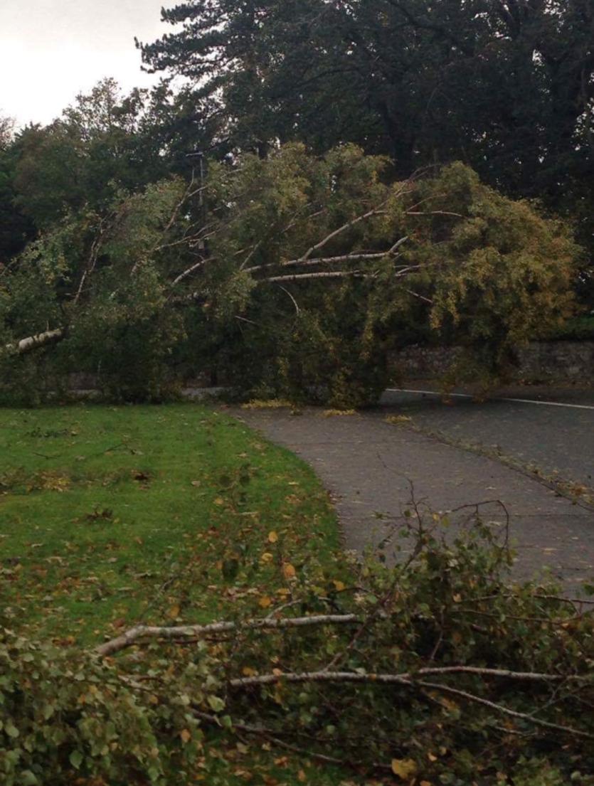 Storm Ophelia Damage