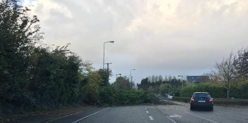 Storm Ophelia Damage