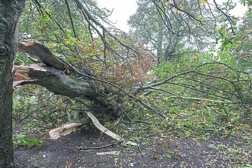 Storm Ophelia Damage