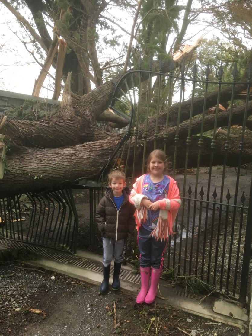 Storm Ophelia Damage