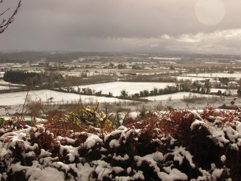 Cahir in the snow