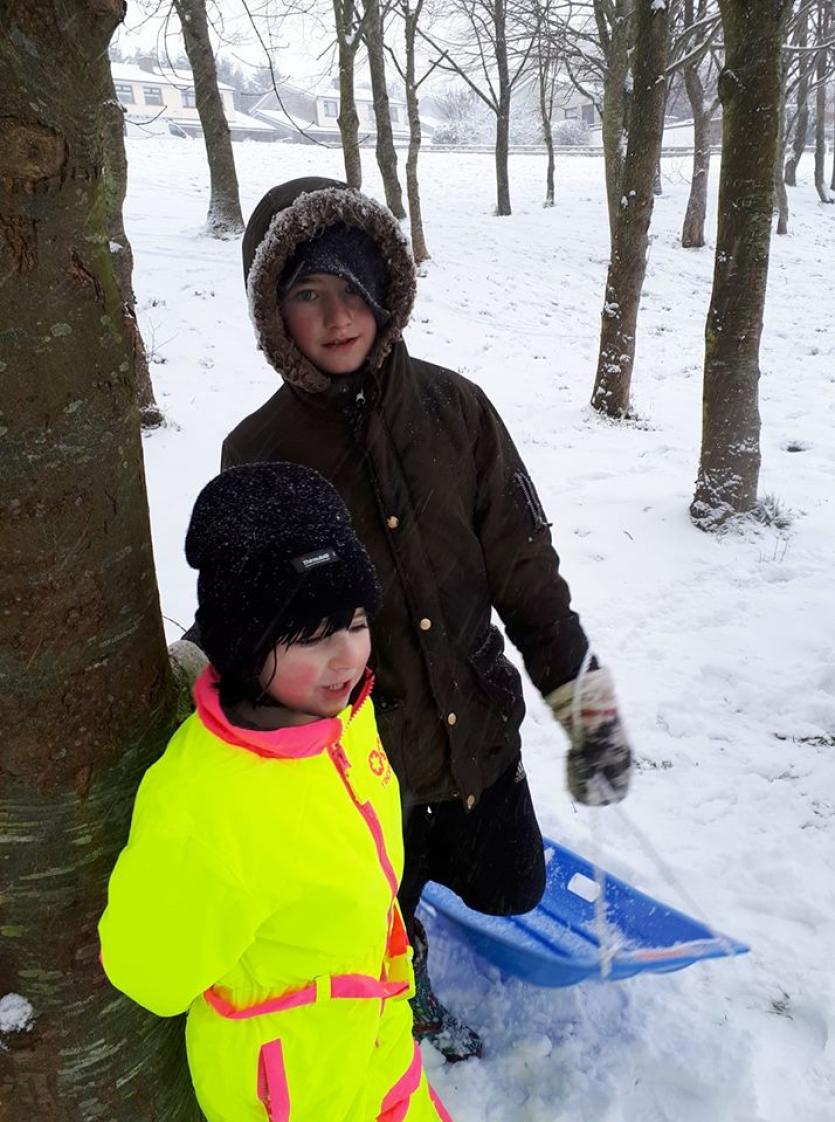 Snow in Tipperary 2018