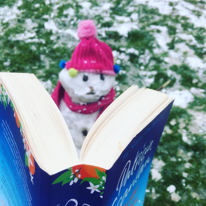 Snow in Tipperary 2018