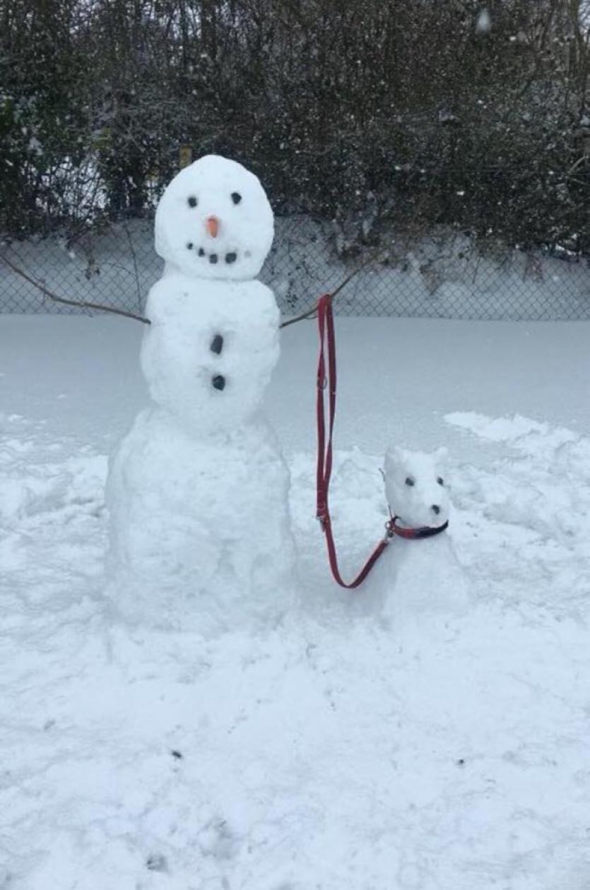 Snow in Tipperary 2018