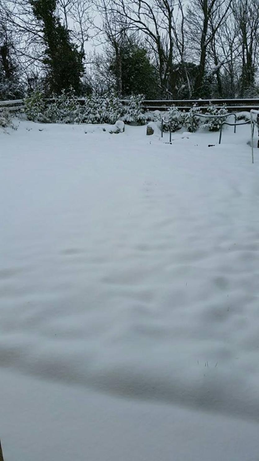 Snow in Tipperary 2018
