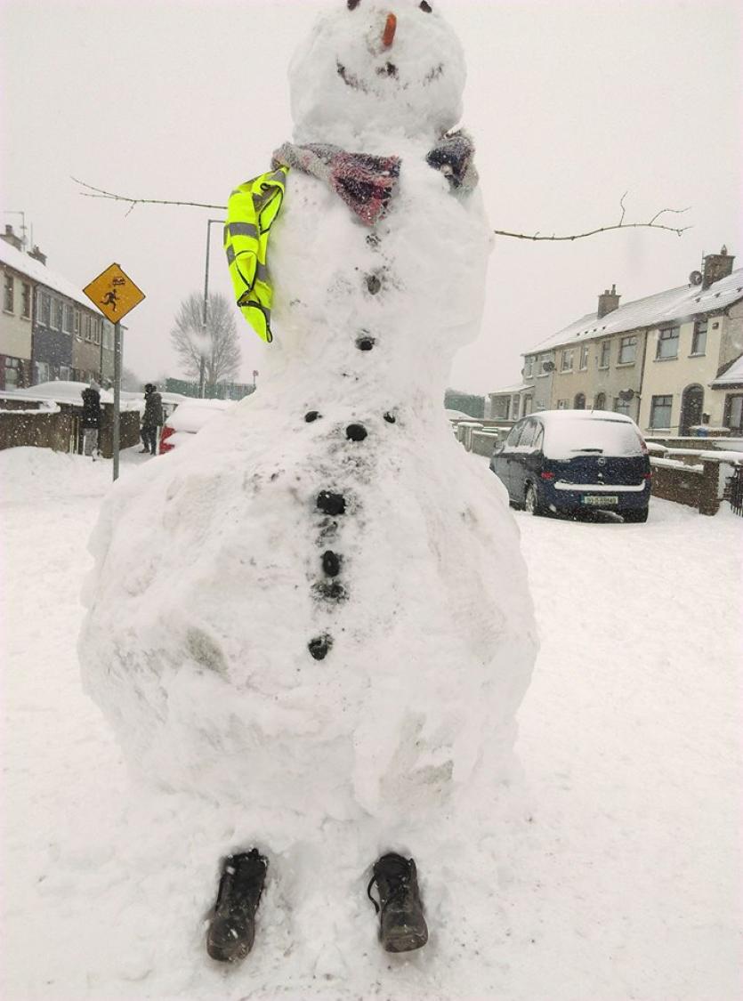Snow in Tipperary 2018