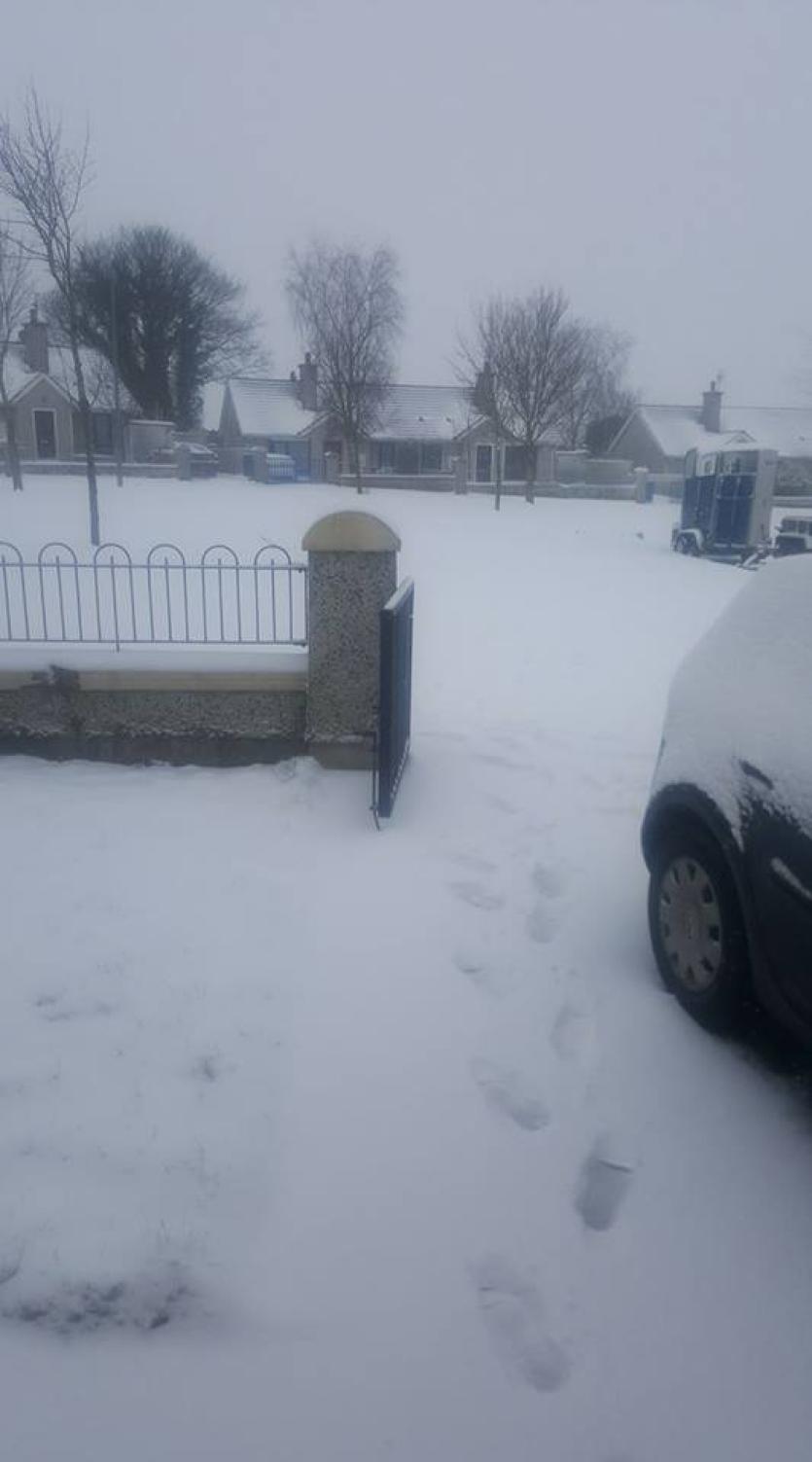 Snow in Tipperary 2018