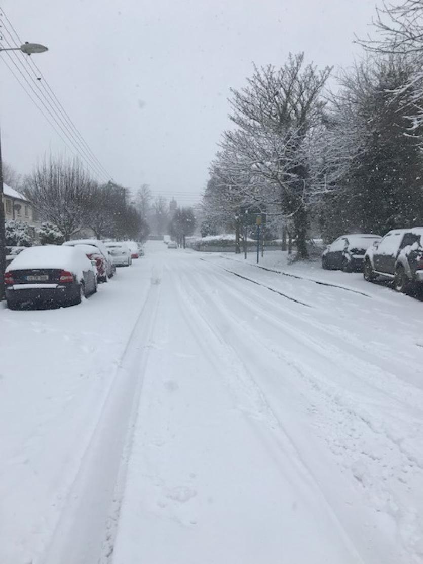 Snow in Tipperary 2018