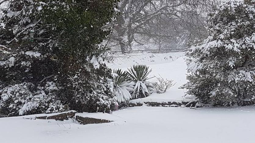 Snow in Tipperary 2018