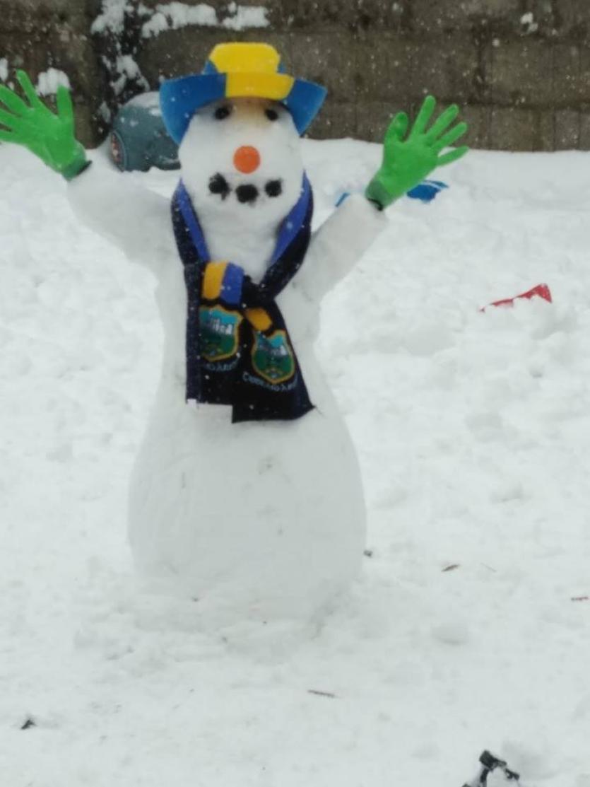 Snow in Tipperary 2018