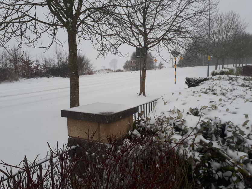 Snow Tipperary 2018