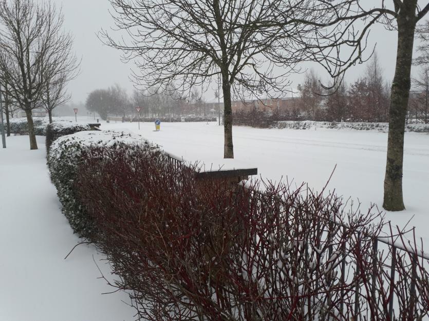 Snow Tipperary 2018