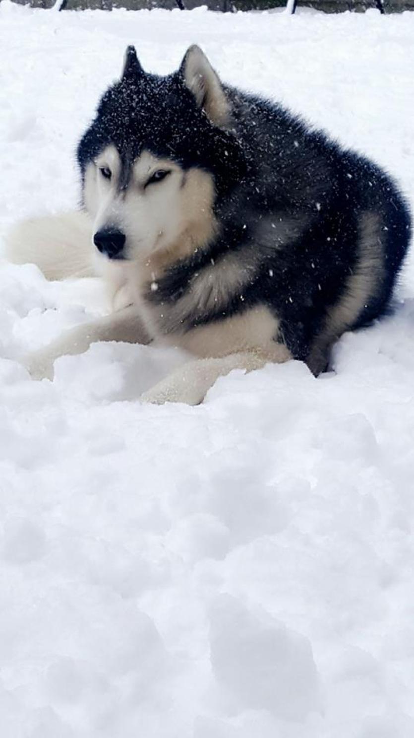 SNow in Tipperary 2018