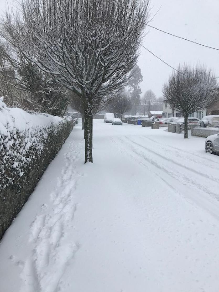 Snow in Tipperary 2018