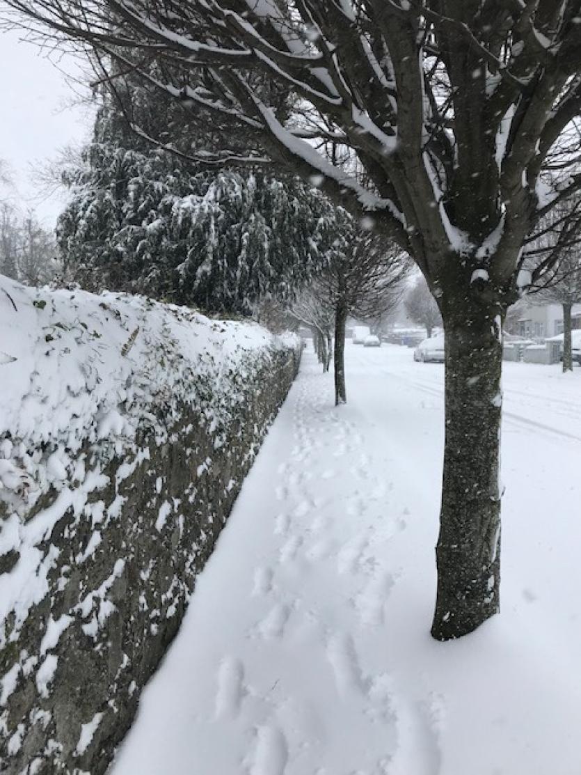 Snow in Tipperary 2018