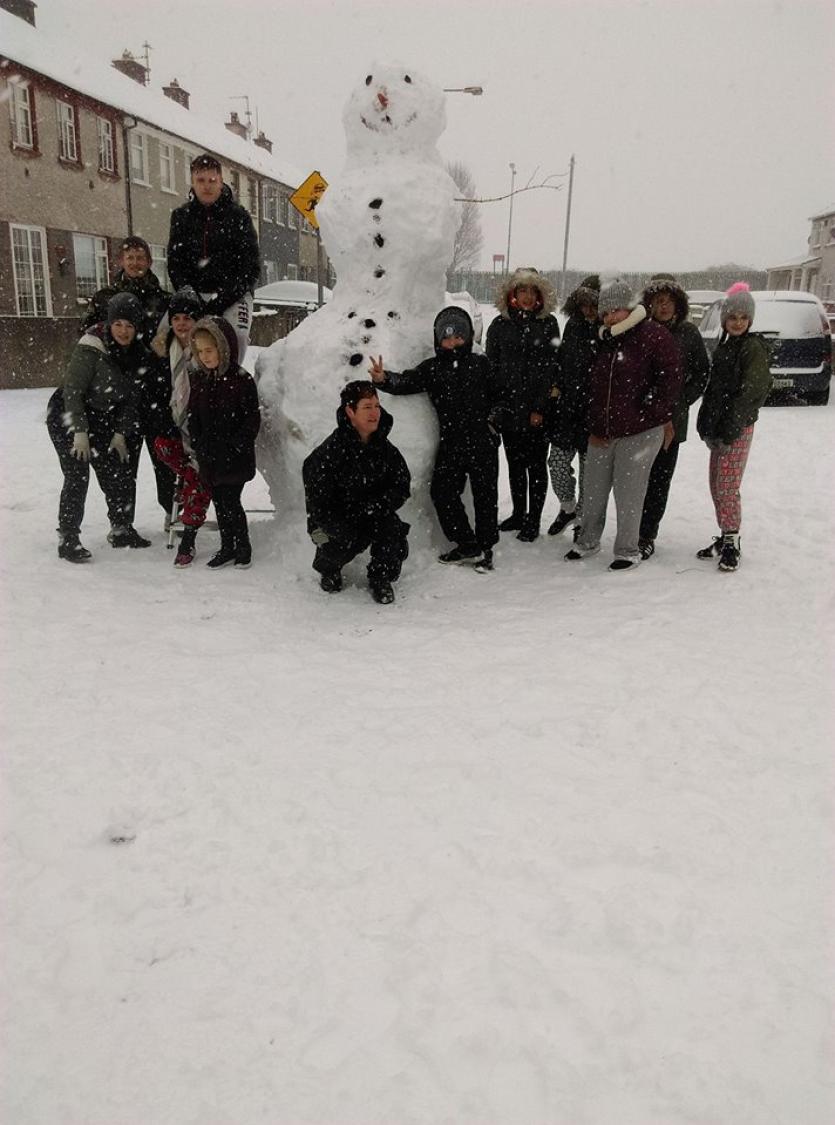 Snow in Tipperary 2018