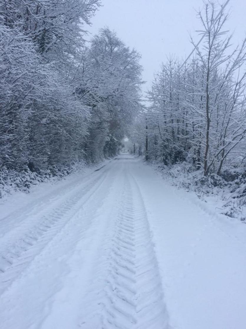 Snowing Tipperary 2018